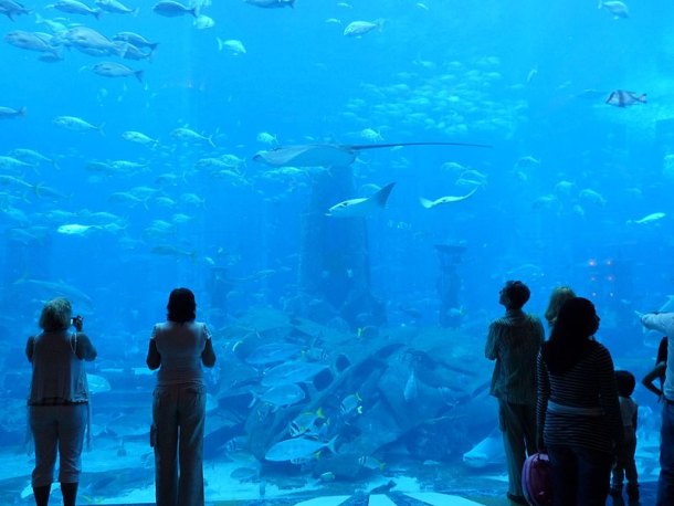 Lost Chambers AquariumÂ