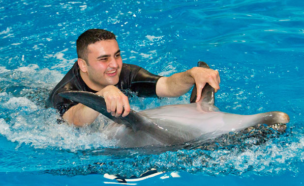 Swim with Dolphins at Dubai Creek