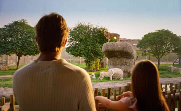Dubai Safari Park Tickets