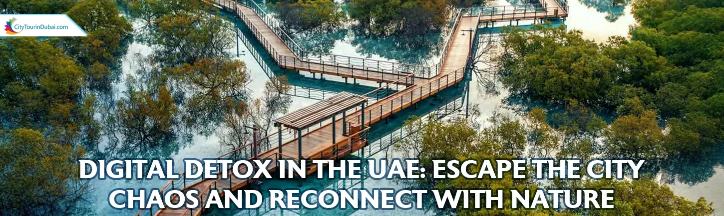 Digital Detox in UAE: Escape City Chaos & Reconnect with Nature - Escape The Hustle Digital Detox