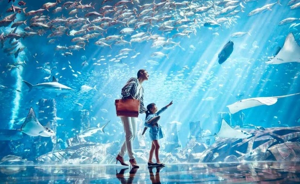 Lost Chambers Aquarium Tickets Grab the opportunity to visit one of Dubai’s most interesting Lost Chambers Aquarium